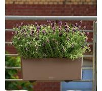 50Cm Window Box, Nutmeg Brown Plastic Lechuza Balconera Color Self-Watering Planter With Water Level Indicator H19 L50 W19 Cm