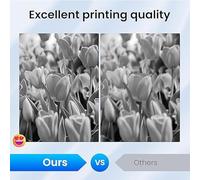 50F1H00 Toner Cartridge with Chip High Yield Replacement for Lexmark 501H 50F1H00 Toner Compatible with Lexmark MS310d MS310dn MS312dn MS315dn MS410d MS410dn MS415dn Printer,Black-1 Pack