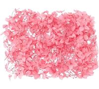50g Dried Hydrangea Flower, Natural Pressed Flowers Real Hydrangeas Petals for DIY Resin Crafts Card Floral Gift Candle Making Decor, Pink
