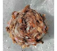 50g Special Fancy Yarn, Retro Hand Mixed Yarns, Handmade Forest DIY Crochet Bag, Tent Material, Baby Clothes Accessories