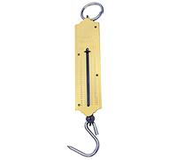 50kg Spring balance hanging weighing luggage Suitcase fish bag Weight scale spring Balance with Hook for Home,School,Classroom Hanging Loop for Kitchen and Finshing Use