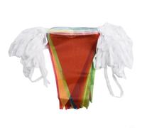 50m Bunting Triangle Flags Pennant Banner Multicolored for Outdoor Festival Decor 100 Flags 14x21cm