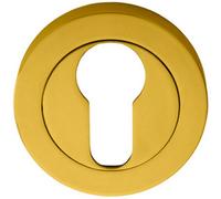 Loops 50mm Euro Profile Escutcheon Concealed Fix Polished Brass Keyhole Cover in Metallics Loops Metallics
