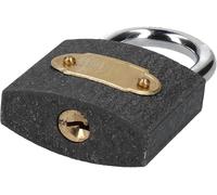 50mm Heavy-Duty Padlock with Keys Lock with Hardened Steel Shackle Security for Shed, Fence gate & Garage Gym lockers suitcases Anti-Cutting & Sawing Protection with 2 Matching Keys 1PC