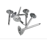 50mm Masonry Nails Large Head Brick Wall Concrete Strap Nail Extra Large Washer Head 100 PACK