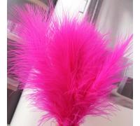 50Pcs 10-15cm Natural White Turkey Feathers for Handicraft Jewelry Creation Accessories Wedding Party Decoration-white-50pcs [Rose red,50pcs]