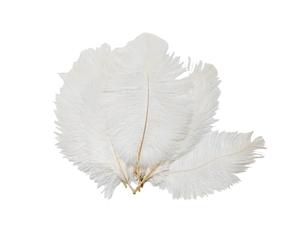 50PCS 6-8inch Small Size White Fullness Natural Ostrich Feathers DIY Craft Feather Home Decor for Wedding Sewing Crafts Costumes Decoration
