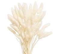 50PCS Bunny Tails Dried Flowers, White Pampas Grass for Vase, Wedding, Home Decor, Party, Artificial Dried Flowers Bouquet for Cake, Grass Home Decor Dried Grasses for Vases Cake