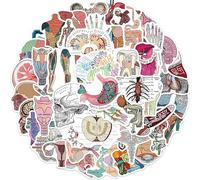 50pcs Cartoon Sticker of The Human Body Organs, Children, Guitar, Cell Phone Waterproof DIY Graffiti-Sticker