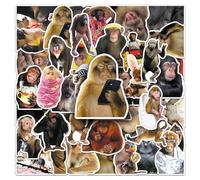 50PCS Cute Funny Orangutan Meme Stickers for Water Bottle,Bumper,Computer,Laptop,Phone,Suitcase,Helmet,Monkey Animal Cartoon Waterproof Vinyl Sticker,Teens Adults Decal,Aesthetic Graffiti Decals