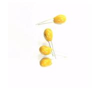 50PCS DIP Tantalum capacitor 16V100UF 100UF 16V 107F pitch 2.54 mm BIANMTSW
