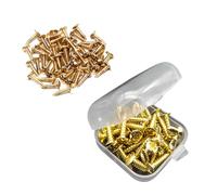 50Pcs Electric Guitar Bass Pickguard Screws Protective Plate Screws Scratch Plate Mounting Screws Guitar Hardware Parts