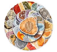 50Pcs Fossil Stickers, Plant Animal Fossil Stickers for Water Bottles Laptops Phones Skateboards, Aesthetic Dinosaur Fossils Sticker for Kids Teens Adults