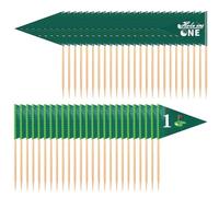 50pcs Golf Themed Toothpick Flags, Hole in One 1st Birthday Golf Cocktail Picks Mini Cupcake Stick Cake Toppers Flags Mini Golf Flags Toothpicks for Party Bar Food Decorations