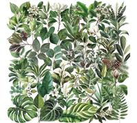 50pcs Green Plant Stickers for Scrapbooking Journaling Transparent Green Plants Stickers for Scrapbook Decoration Realistic Botanical Leaves,Ferns,Tropical Plants,Self-Adhesive Decorative Stickers