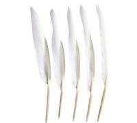 50pcs Grey Feathers 10~12 inches,Beautiful Bulk Long Feather for Crafts 26-31cm,Big Size Bilateral Natural Goose Feather,for Dress and Party Decoration,DIY Fabricating Handicraft Article(Grey)