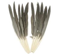 50pcs Grey Feathers 10~12 inches,Beautiful Bulk Long Feather for Crafts 26-31cm,Big Size Natural Goose Gray Feather,for Wedding Dress and Party Decoration,DIY Fabricating Handicraft Article(Grey)