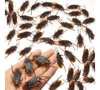 50PCS Halloween Party Supplies Fake Cockroaches Plastic Realistic Bugs for April Fool's day Halloween Party Favors Decorations
