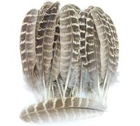 50PCS Hen Pheasant Wing Feathers for Wedding Millinery Art Craft Clothing Decor Deft, normal