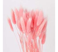 50PCS Home Decoration Lagurus Ovatus Rabbit Tail Grass Bouquets Dried Flowers, Uraria Crinita Real Flower, Eternal Flower Dried Grass Flower Bouquet Photo Props Home Party and Wedding (Pink)