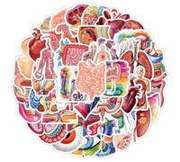 50PCS Human Organs Stickers for Water Bottle,Scrapbook,Laptop, Bike,Cup,Luggage,Guitar,Car,Helmet,Cartoon Anatomy Biology Waterproof Vinyl Sticker,Adults Teens Doctors Decals,Aesthetic Graffiti Decal