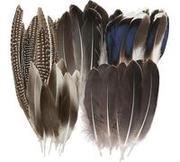50Pcs Large Pheasant Feathers Decorations, Mixed Natural Pheasant Decors 5 Styles Striped Spotted Pheasant Feathers Bulk, Long Pheasant Feathers for Crafting DIY Home Party Parade Accessories