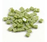 50pcs/lot 45 Styles Two Holes Seedbeads DIY Czech Glass Jewelry Beads for Handmade Jewelry Bracelets Making Accessories 5x5x2mm-T 1-Green-5x2x2mm 100 pcs