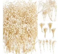 50Pcs Mini Dried Baby's Breath Flowers for Resin Art Craft DIY, 3000+ Natural Ivory White Bulk Flowers, Pressed Gypsophila Bouquet for Hair Accessory, Wedding Wreath, Card Making, Home Decor