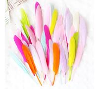 50PCS Natural Colourful Feathers for DIY Crafts - Assorted Sizes 5-15cm, Kids Art Supplies, Animal-Themed Decoration, Creative School Projects, Party Decor (Multicolour)