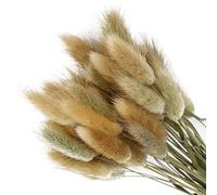 50Pcs Natural Pampas Grass Home Decor, Farmhouse Artificial Dried Flowers for Table Self Fireplace Decoration, Boho Fluffy Bunny Tails Grass Bouquet for Wedding,Flower Arrangements (Brown)