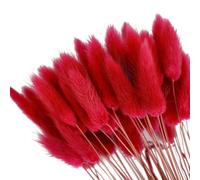 50Pcs Natural Pampas Grass Home Decor, Farmhouse Artificial Dried Flowers for Table Self Fireplace Decoration, Boho Fluffy Bunny Tails Grass Bouquet for Wedding,Flower Arrangements (Red)