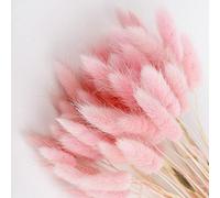 50Pcs Natural Pampas Grass Home Decor, Farmhouse Artificial Dried Flowers for Table Self Fireplace Decoration, Boho Fluffy Bunny Tails Grass Bouquet for Wedding,Flower Arrangements (Pink)