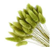 50Pcs Natural Pampas Grass Home Decor, Farmhouse Artificial Dried Flowers for Table Self Fireplace Decoration, Boho Fluffy Bunny Tails Grass Bouquet for Wedding,Flower Arrangements (Green)