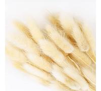 50Pcs Natural Pampas Grass Home Decor, Farmhouse Artificial Dried Flowers for Table Self Fireplace Decoration, Boho Fluffy Bunny Tails Grass Bouquet for Wedding,Flower Arrangements (Beige)