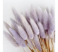 50Pcs Natural Pampas Grass Home Decor, Farmhouse Artificial Dried Flowers for Table Self Fireplace Decoration, Boho Fluffy Bunny Tails Grass Bouquet for Wedding,Flower Arrangements (Purple)