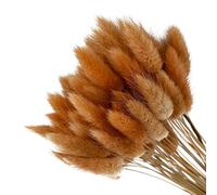 50Pcs Natural Pampas Grass Home Decor, Farmhouse Artificial Dried Flowers for Table Self Fireplace Decoration, Boho Fluffy Bunny Tails Grass Bouquet for Wedding,Flower Arrangements (Coffee)
