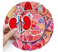 50PCS Organ Stickers for Skateboard,Water Bottle,Scrapbook,Laptop, Bike,Cup,Luggage,Guitar,Computer,Car,Helmet,Human Organs Waterproof Stickers,Gift for Adults Doctors Girls Teens,Body Biology Decals