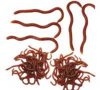50PCS Plastic Fake Worms, Stretchy Toy Worms for Halloween Decoration April Fools Day Party Fishing