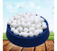 50pcs Plastic For Pigeon Eggs Artificial False Eggs Hatching Supplies -ys