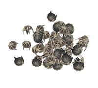 50pcs Pumpkin Studs Metal Claw Nailhead Punk Stud Rivet Spikes Bronze
