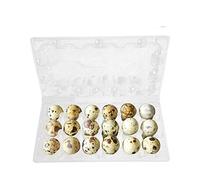 50pcs Quail Egg Cartons Cartons Holder with Lid, Quail Eggs Carton for Small Eggs Quail Pheasant Grouse Refrigerator Egg Storage Rack Without Egg