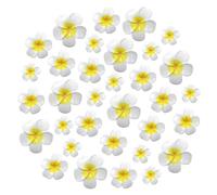 50PCS Resin Plumeria Flower Charm Bead Small Tropical Hawaiian Flowers Frangipani White with Yellow Artificial Plumeria Heads Pendant for Make Jewelry Hair Clips DIY Craft Accessories,Mixed Size