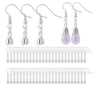 50Pcs Silver Earring Hooks Stainless Steel, Hypo-allergenic Ear Wires Fish Hook Earring Hooks with Pendant Clasp for Jewelry Making Crafts DIY