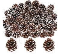 50Pcs Snow Pine Cones, 1.96 in Pinecone Ornaments, Natural Brown Christmas Ornaments, Pine Cones for Crafts, Cute Ornaments for Christmas Tree Decorations, Bulk Nuts Decorations with Silver String