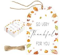 50Pcs Thanksgiving Gift Tags, Thank You Tags with String | Thankful for You Tag Paper Labels, Happy Thanksgiving Tag for Gift Wrapping Fall Harvest Decorations