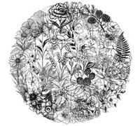 50PCS Transparent Black and White Plant Stickers for Water Bottle,Car,Bike, Skateboard,Scrapbook,Laptop,Luggage,Cute Flower Waterproof Vinyl Decal,Teens Adult Sticker,Cool Aesthetic Graffiti Sticker