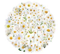 50PCS Transparent Daisy Stickers for Laptop,Skateboard,Guitar,Water Bottle,Luggage,Bumper,Helmet,Scrapbook,Cute Flower Waterproof Vinyl Sticker,Plant Aesthetic Graffiti Decals,Teens Girls Decals