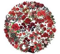 50PCS Transparent Red Rose Stickers for Guitar,Bumper,Water Bottle,Notebook,Bike,Laptop,Luggage,Suitcase,Cute Aesthetic Retro Floral Vinyl Sticker,Teens Adult Sticker,Botanical Trendy Graffiti Decal
