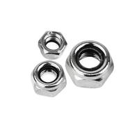 50X M2 M2.5 M3 M4 M5 M6 304 Stainless Steel Carbon Steel Black Zinc-Plated Hex Nylon Insert Lock Nut Self-Locking Nylock Locknut(304 stainless steel,M2.5)