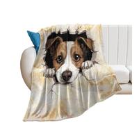 50x60in Flannel Fleece Throw Blanket for Couch Office Bed Sofa Home Decor Jack Russell Terrier Funny Peeking Dog Lightweight Plush Fuzzy Cozy Soft Blankets And Throws for Girls All Season Use